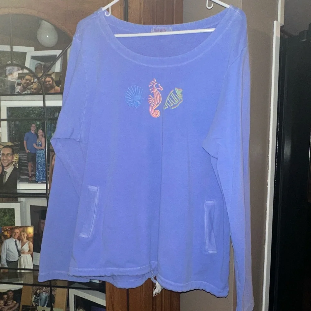 XL/XXL Stretchy Fresh Produce Blue Distressed Sweatshirt. Runs small ! - Picture 2 of 15